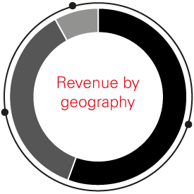 Revenue by geography graph
